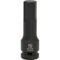 Dynamic Tools 1/2" Drive SAE Hex Head, 5/8", Bit Impact Socket D014620